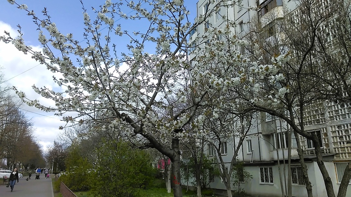 Фото автора