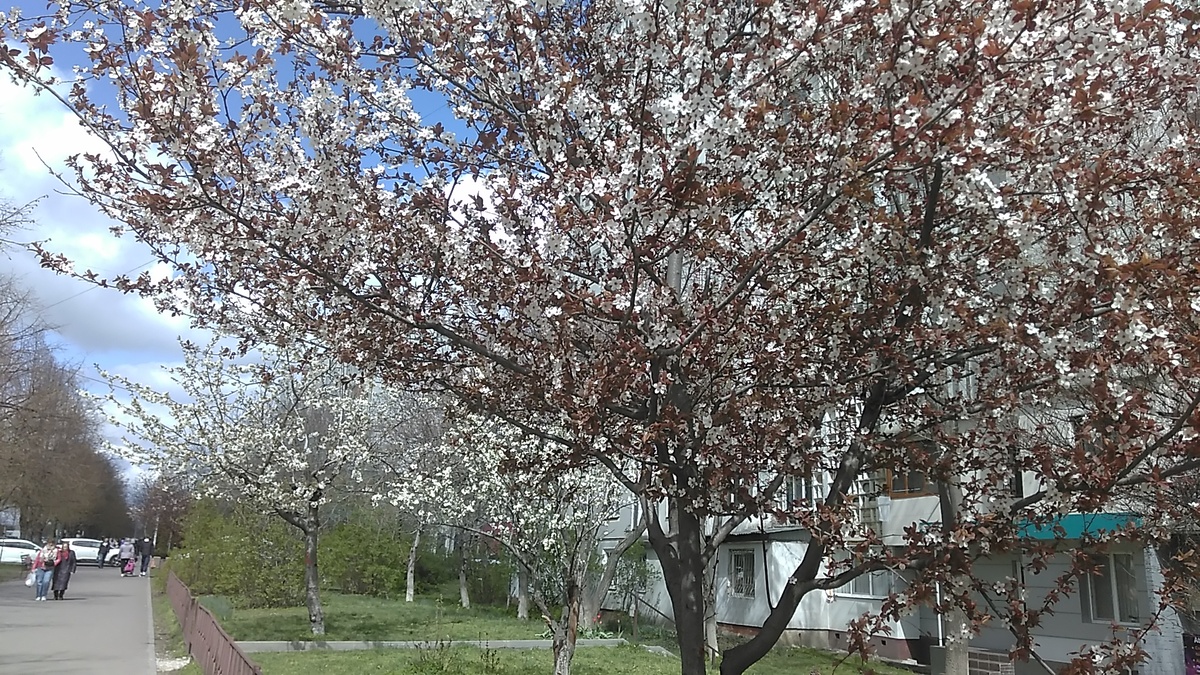 Фото автора