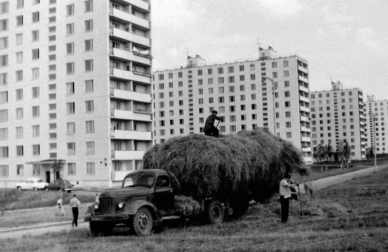 Фото из открытых источников