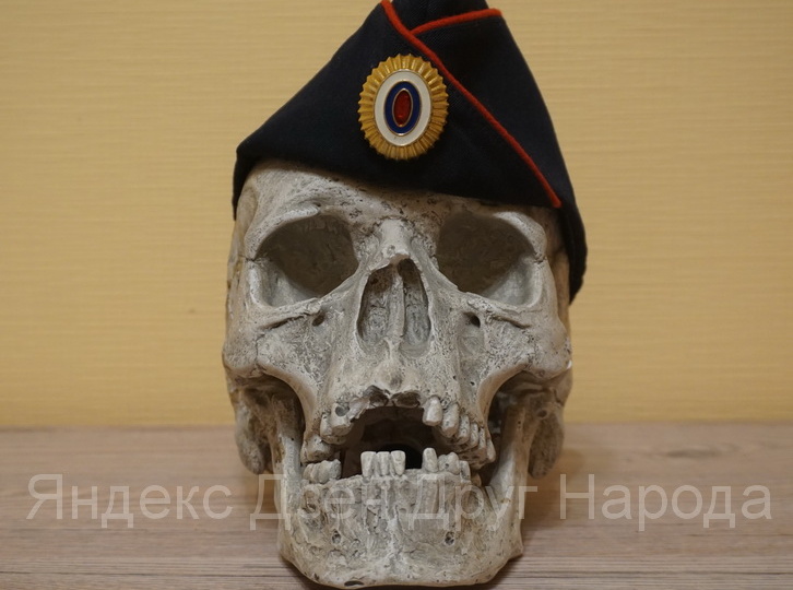 Как у нас в полиции внедряли американскую пилотку обр. 2011 г.