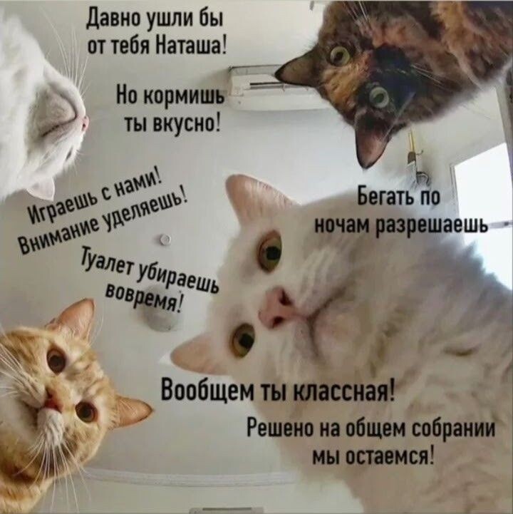 источник Яндекс-картинки