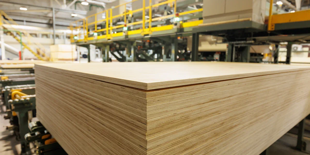 Всё, что нужно знать о шлифовке фанеры