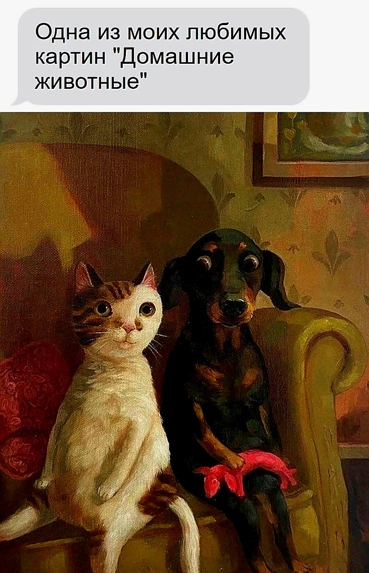 Источник фото найден на просторах Интернета в открытом доступе