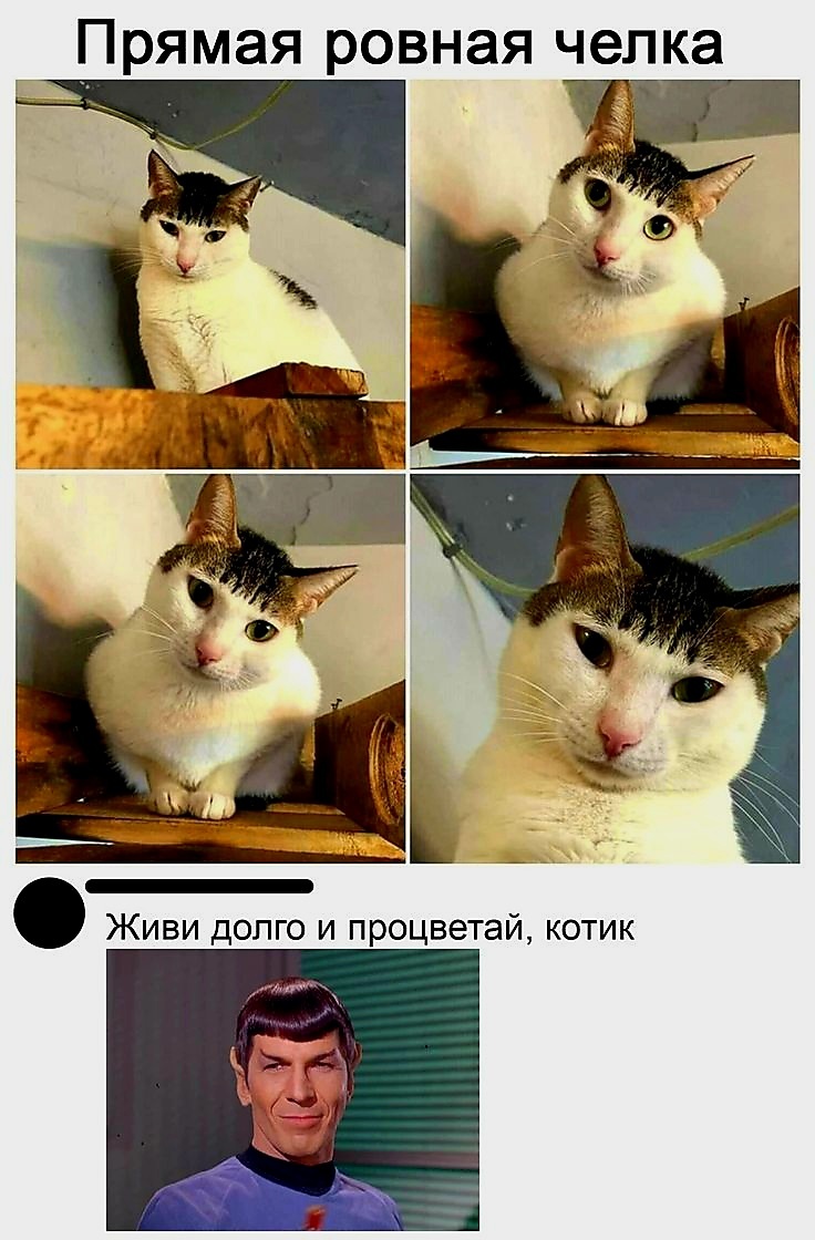 Источник фото найден на просторах Интернета в открытом доступе