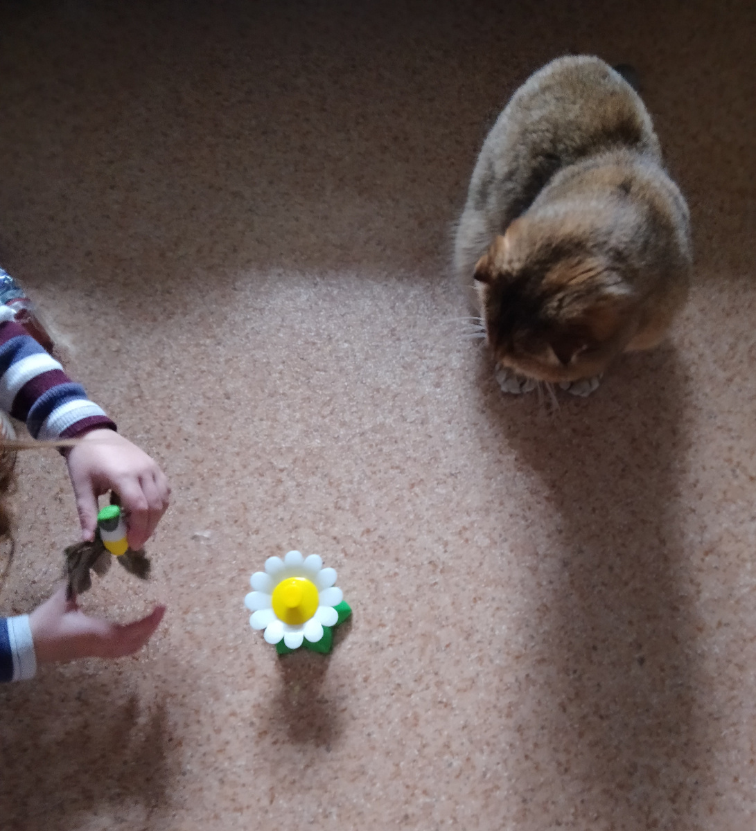 Уговаривает Тоську поиграть с птичкой