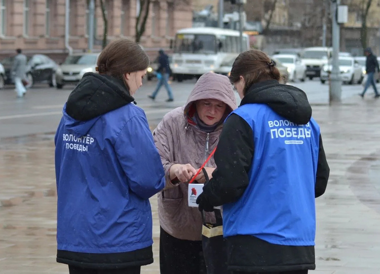 В Курске стартовала акция «Красная гвоздика» для помощи ветеранам