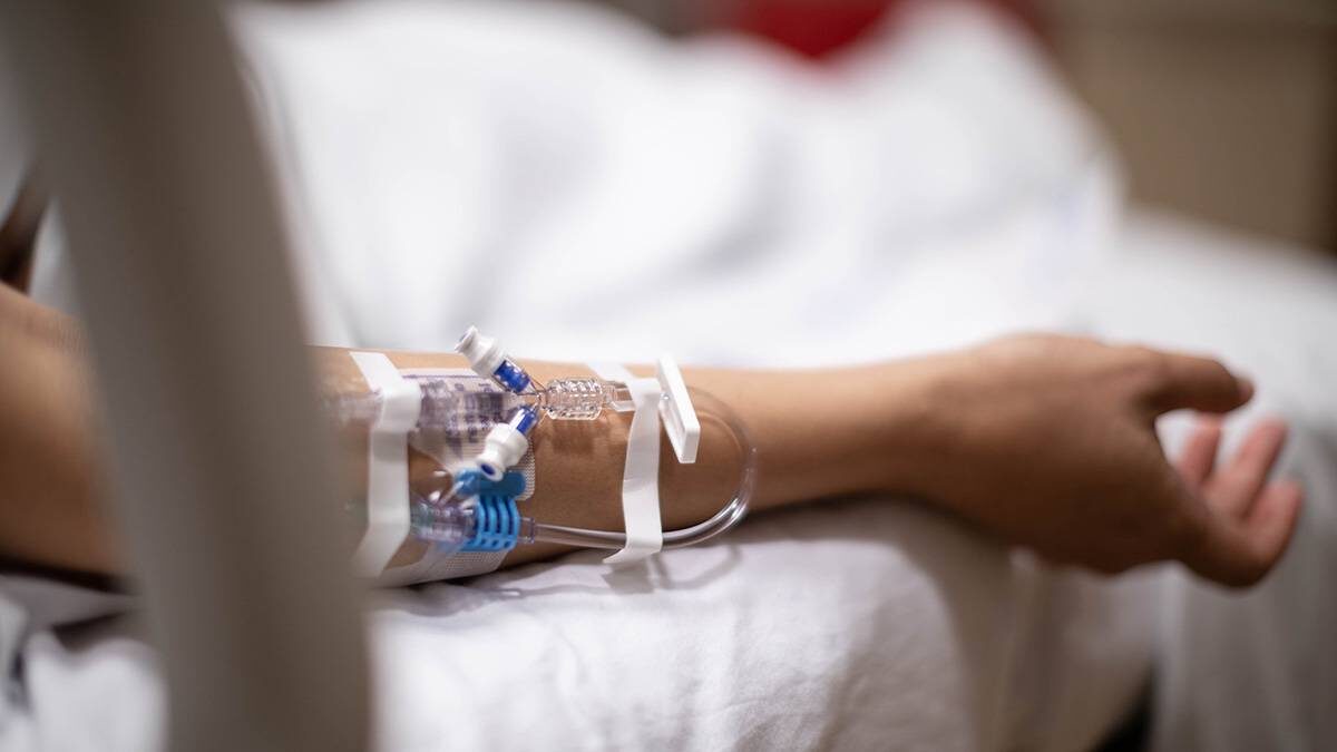    Фото: Shutterstock