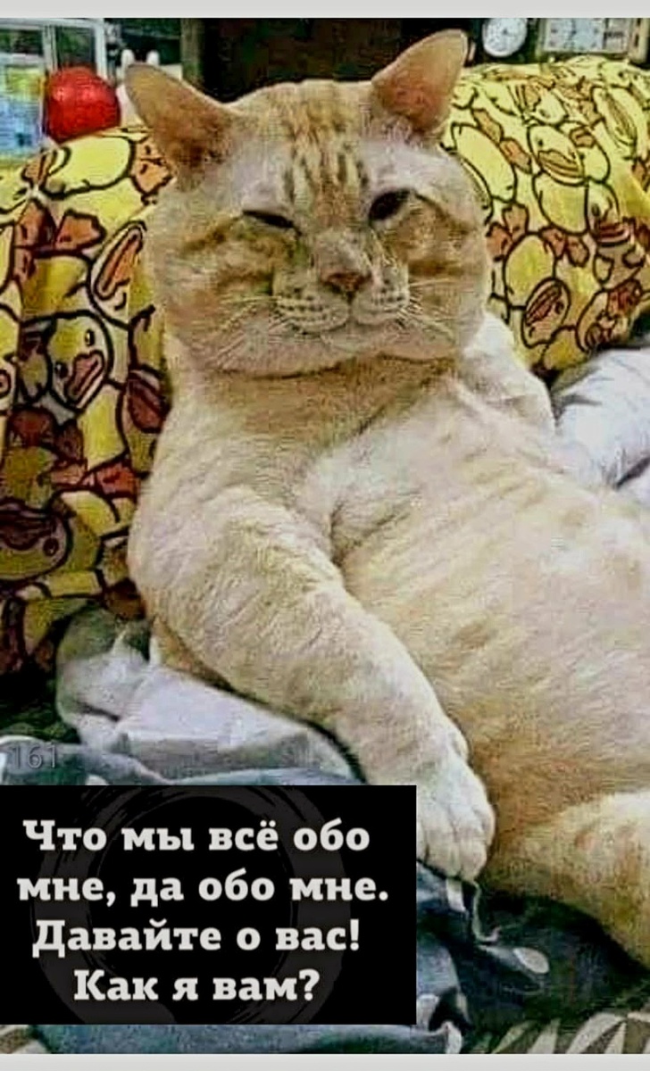 Источник фото найден на просторах Интернета в открытом доступе