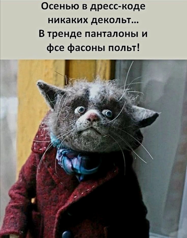 Источник фото найден на просторах Интернета в открытом доступе