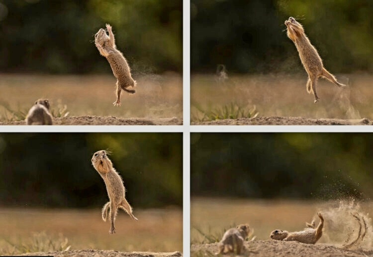 Источник фото найден на просторах Интернета в открытом доступе