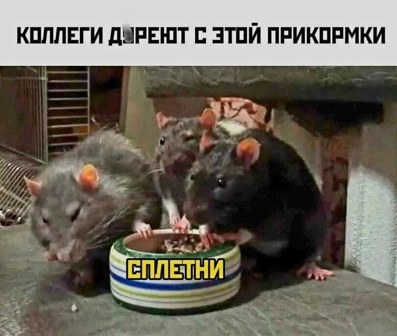 Источник фото найден на просторах Интернета в открытом доступе