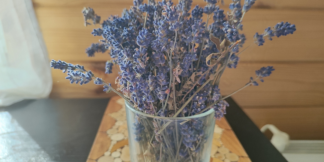 Пытаюсь купить билеты из Крыма и в Крым в апреле