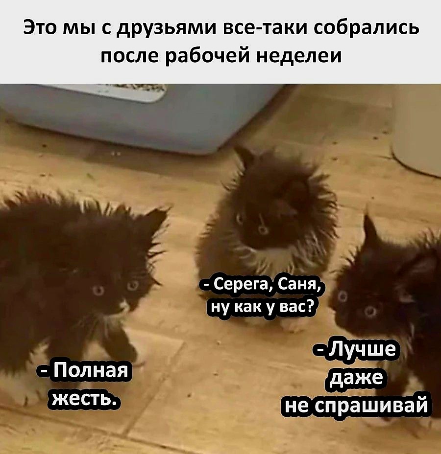 Источник фото найден на просторах Интернета в открытом доступе