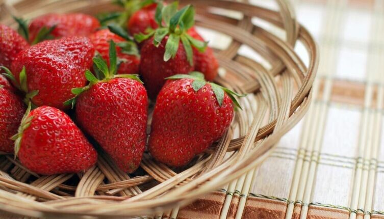    Страшный зверь. Может ли дракон прилететь на дачу? Фото: по лицензии CC0 Pxhere.com