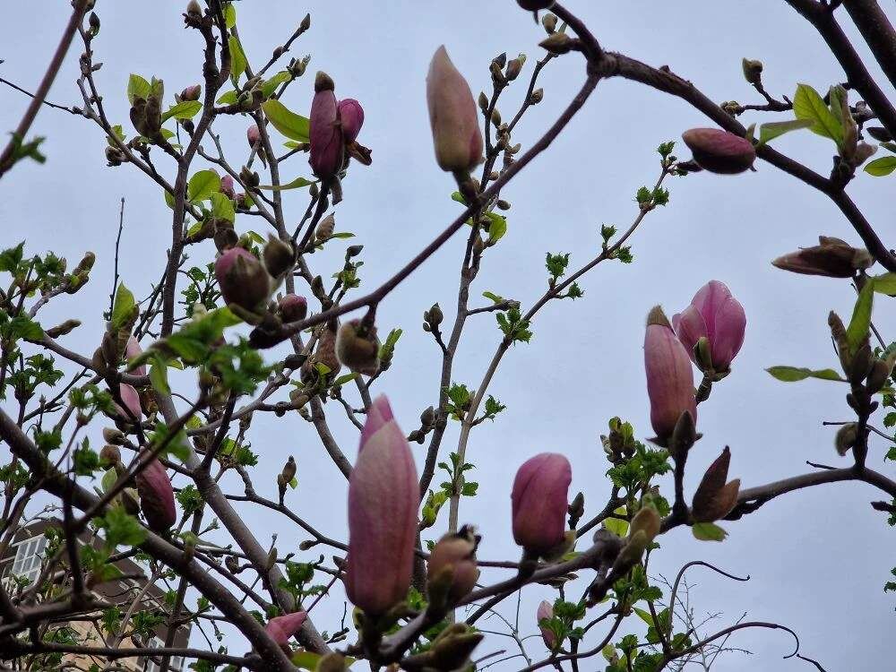    Фото: Е. Богачева. Галина Ященко