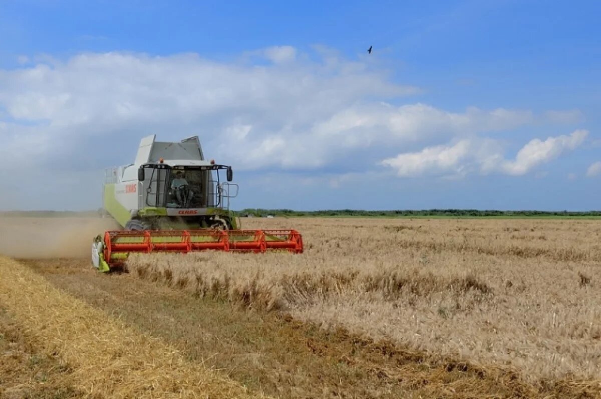    Reuters: конфликт на Ближнем Востоке разоряет украинских фермеров