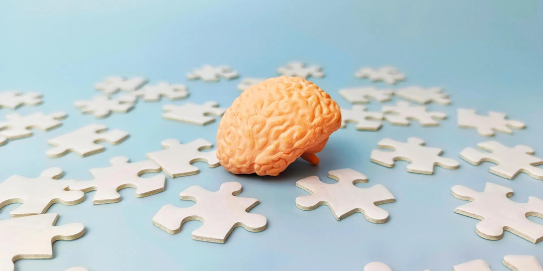 Учёные раскрыли большую тайну, связанную с тем, как мозг хранит воспоминания