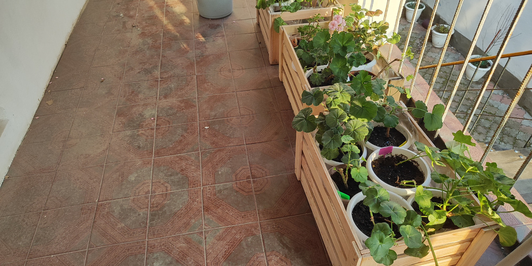 Сборы в дорогу, последние важные дела дома перед новой дальней поездкой