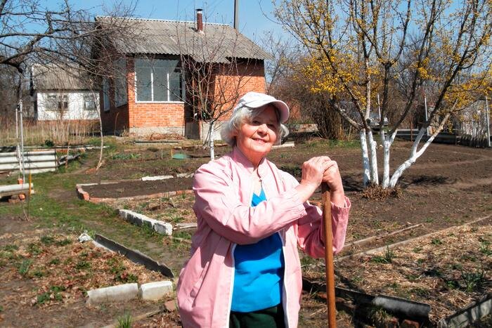 Пенсионеров-дачников освободят от ряда выплат. Обложка © Shutterstock / FOTODOM / Oleg Medvedytskov