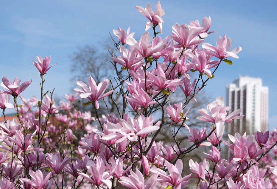    Sebastian Willnow/dpa/Global Look Press