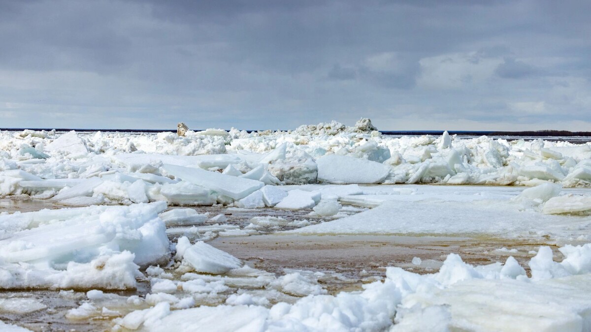    Фото: Федор Воронов / «Ямал-Медиа»