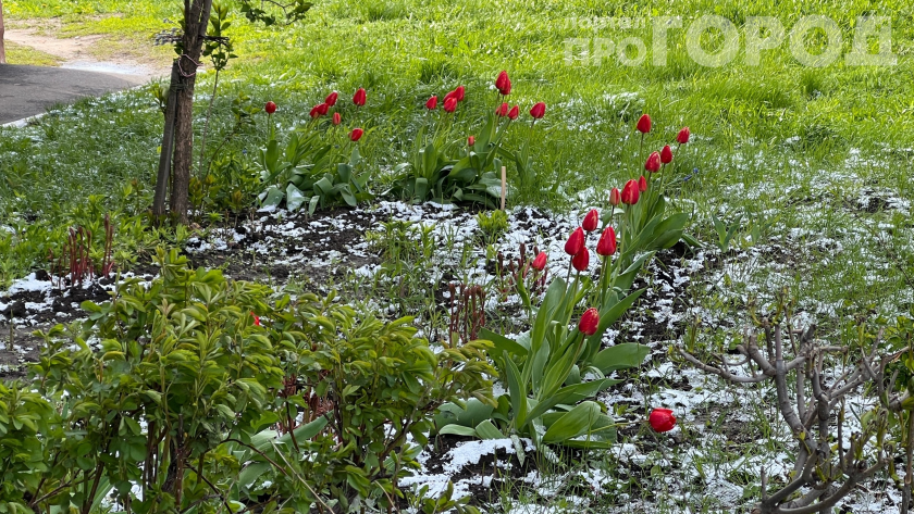    Фото: ПроГород