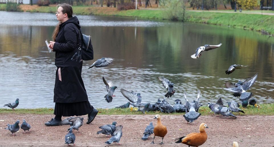    Belkin Alexey/news.ru / www.globallookpress.com