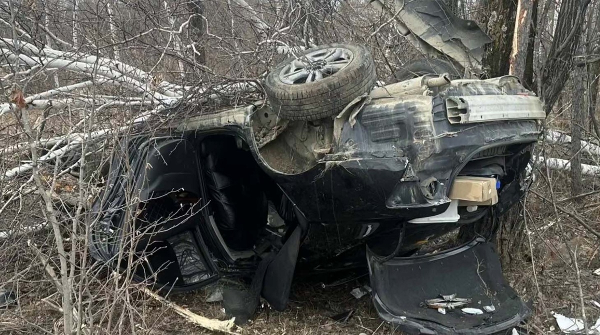    Telegram / Госавтоинспекция Хабаровского края