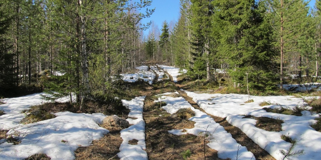 Подборка об охоте на севере России