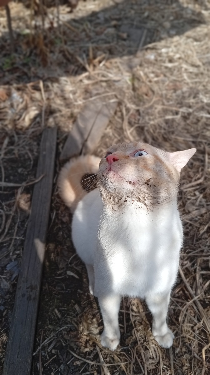 Фото из личного архива