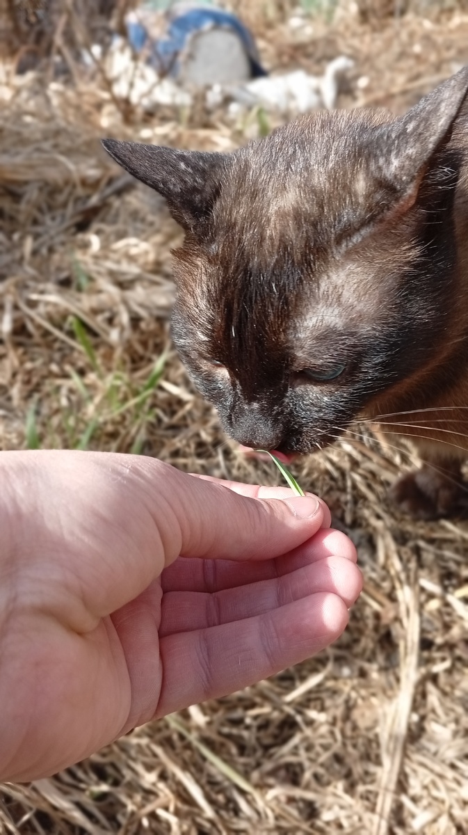 Фото из личного архива