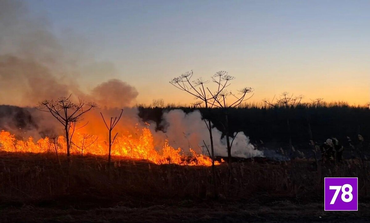    Фото: соцсети