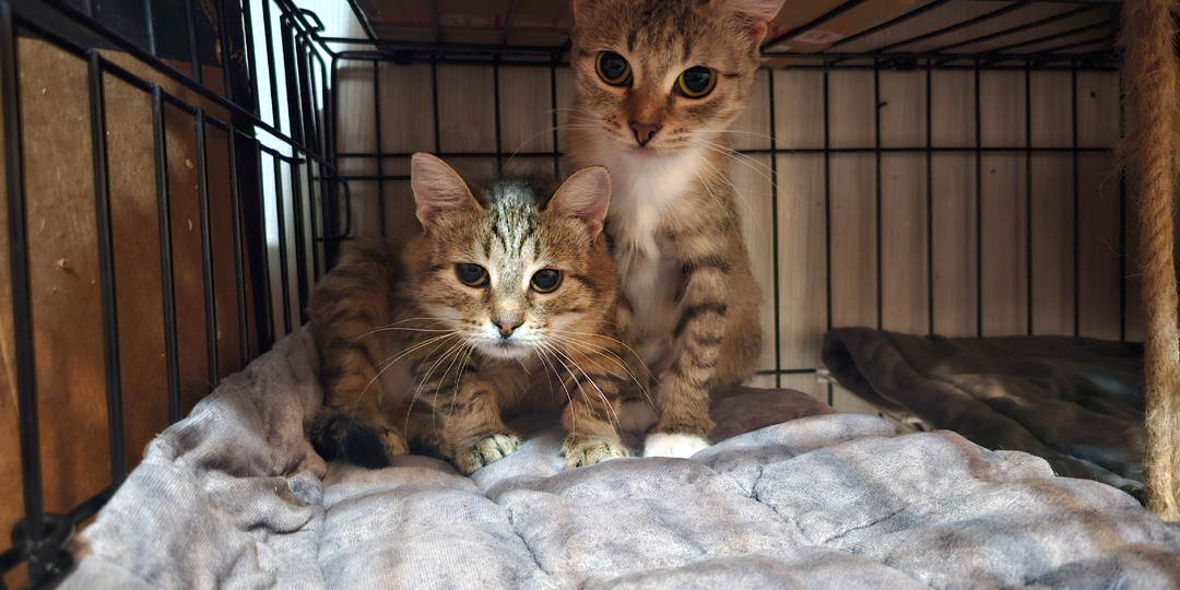 Сегодня особенный день...