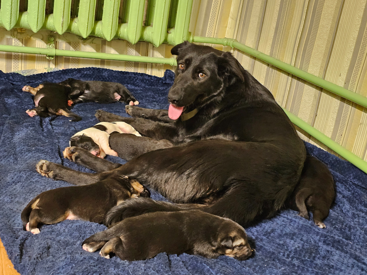 Фото автора. Счастлива, в безопасности, сытая.