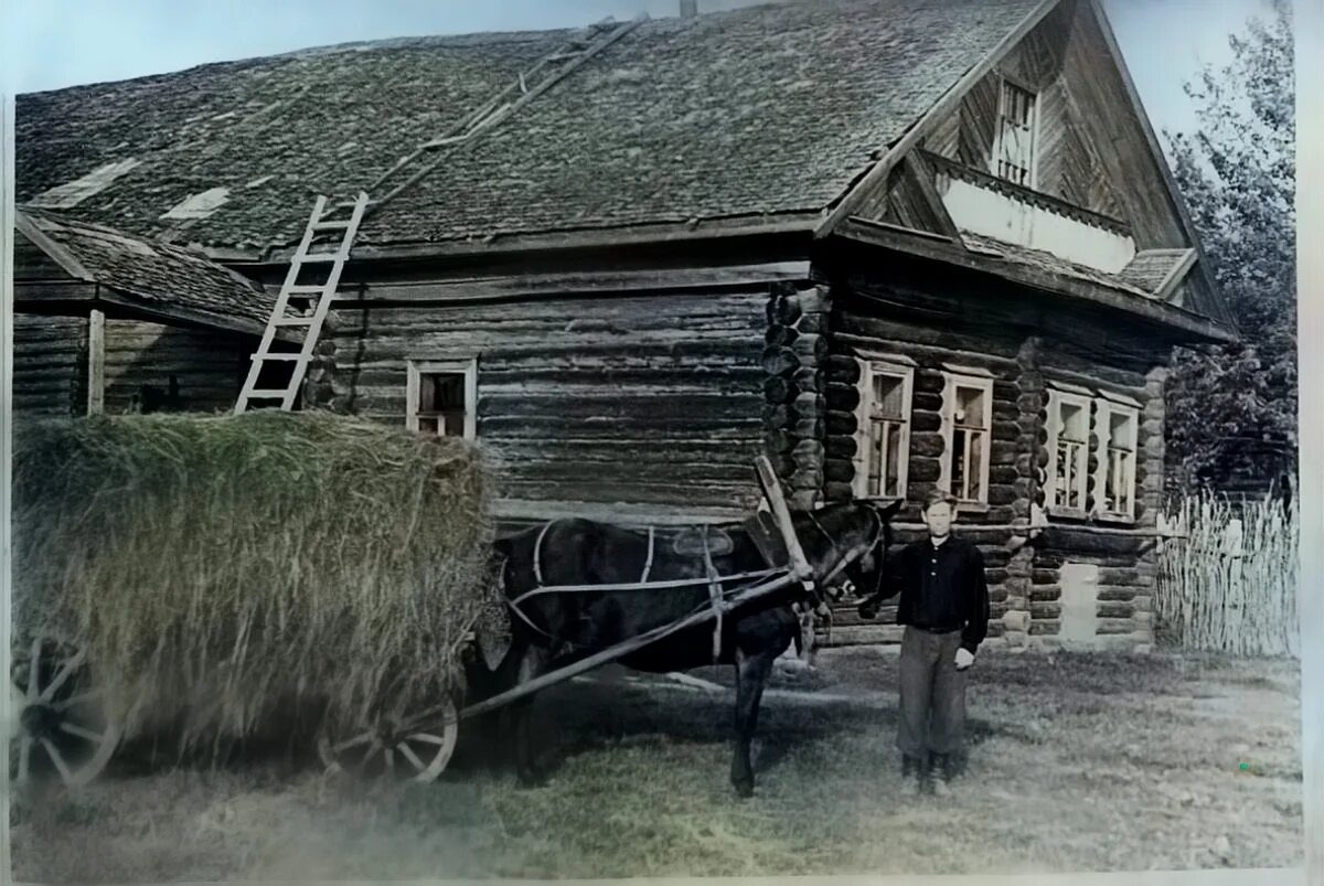 Взято из открытых источников интернета Яндекс.