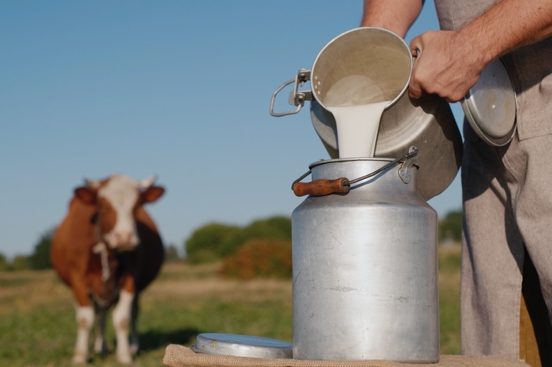    Shutterstock/FOTODOM