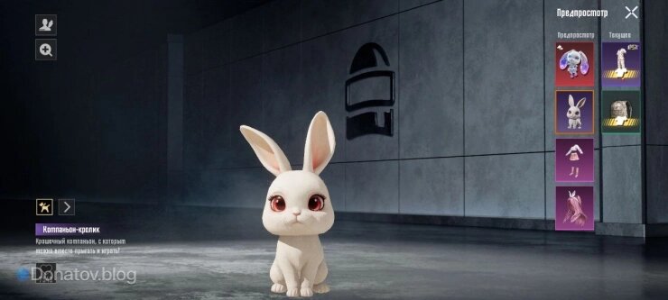    Кролик-компаньон в PUBG Mobile