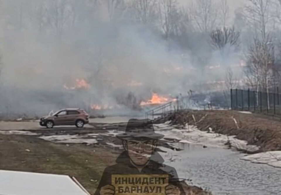    Возгорание травы в Новоалтайске. Источник: max.ru/incident22