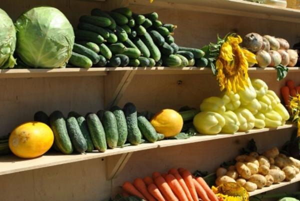    Иллюстрация фотобанка Ростовского отделения СЖР admin