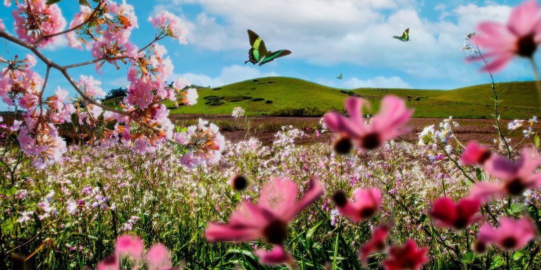 Столбики термометров в Подмосковье вновь поползут вверх