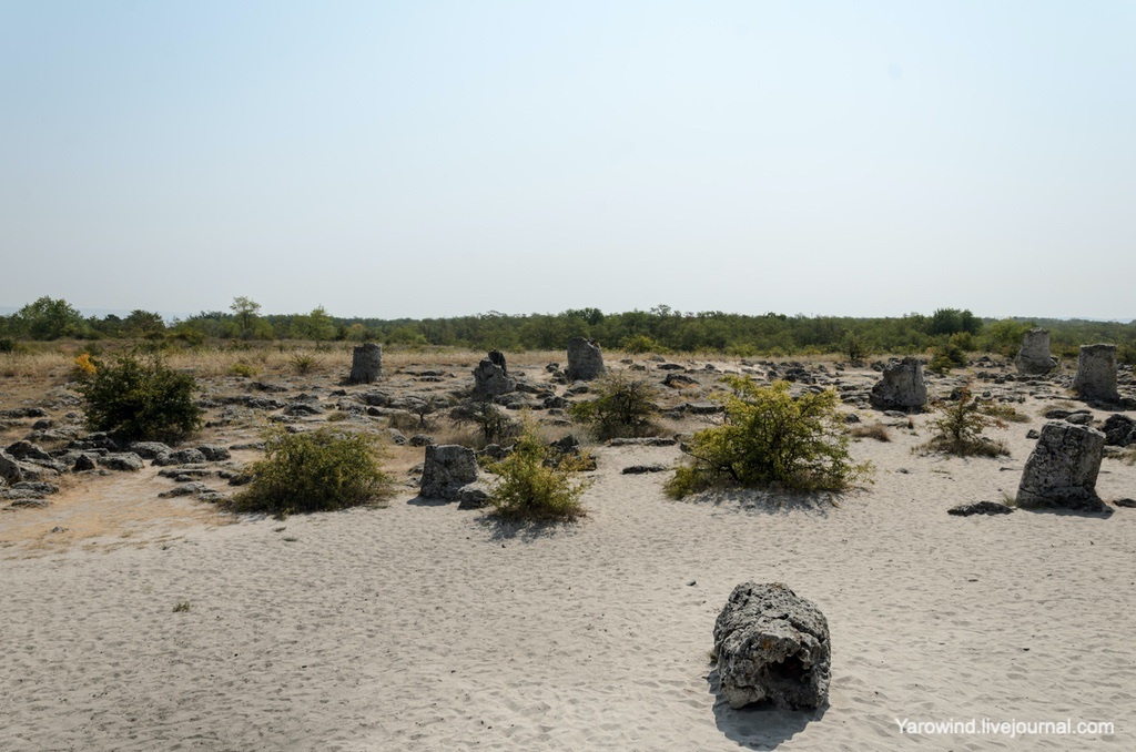 Побиты камни - Каменный лес в Болгарии