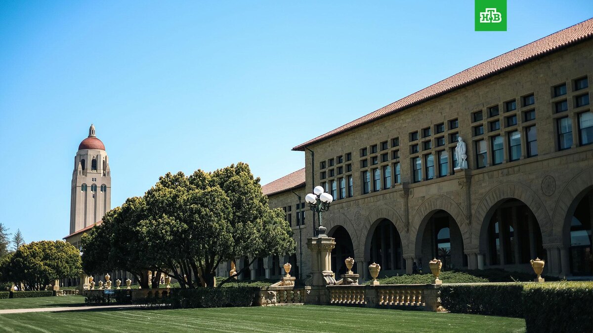    Фото: Robert Gareth / unsplash.com