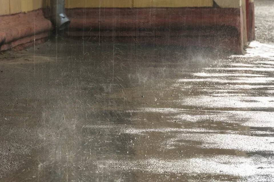    Фото: Дмитрий Рогулин / "Городские вести"