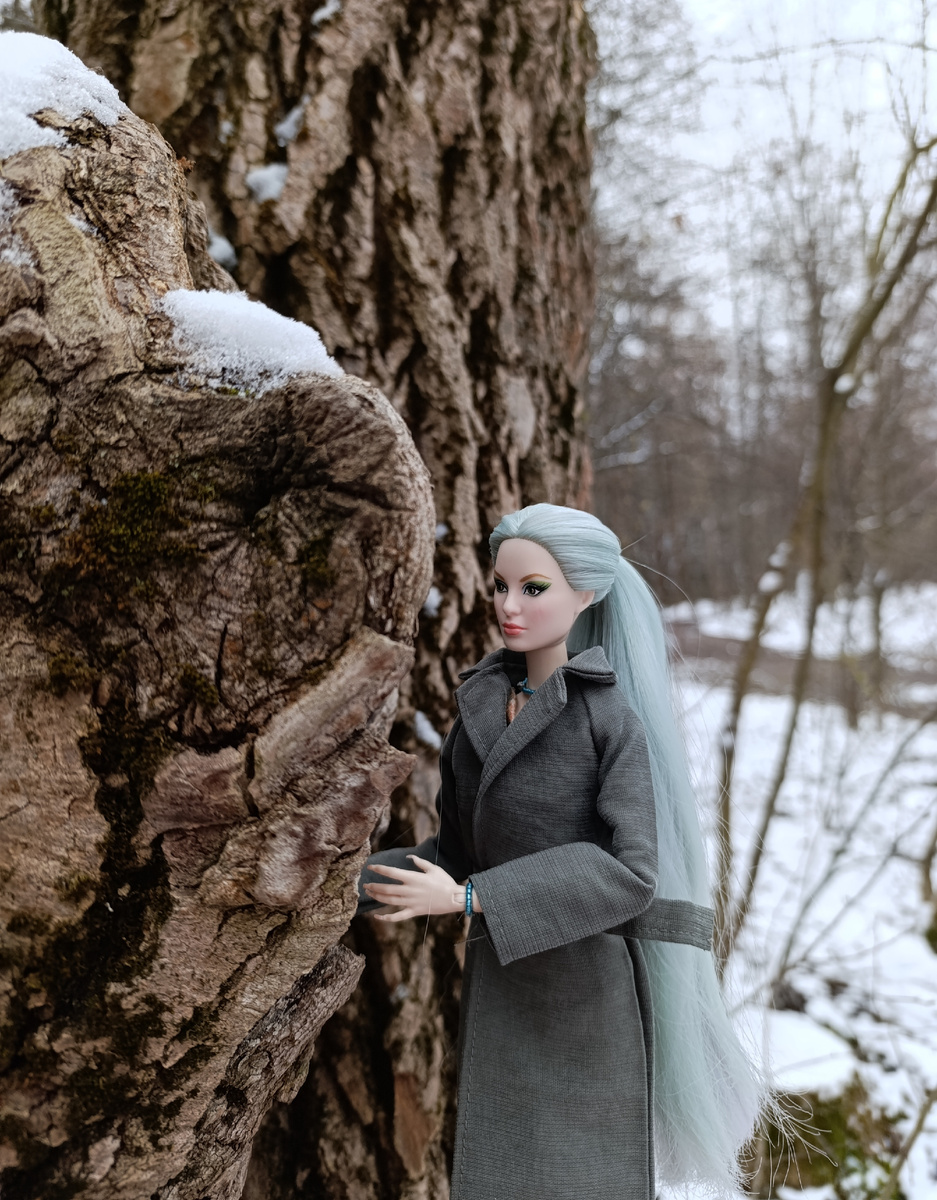 Адалинда достала из дупла старого дерева мешочек с лунной росой, пучек сушеных трав.