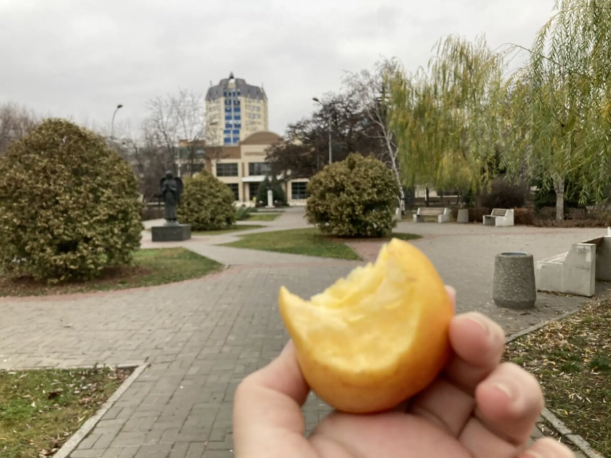 Съем яблоко и доказательство в чат скину. 