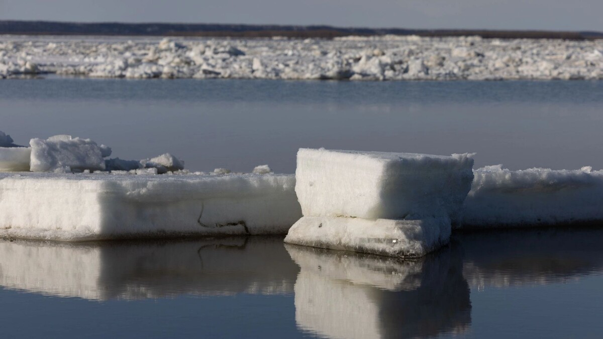    Фото: Сергей Зубков/«Ямал-Медиа»