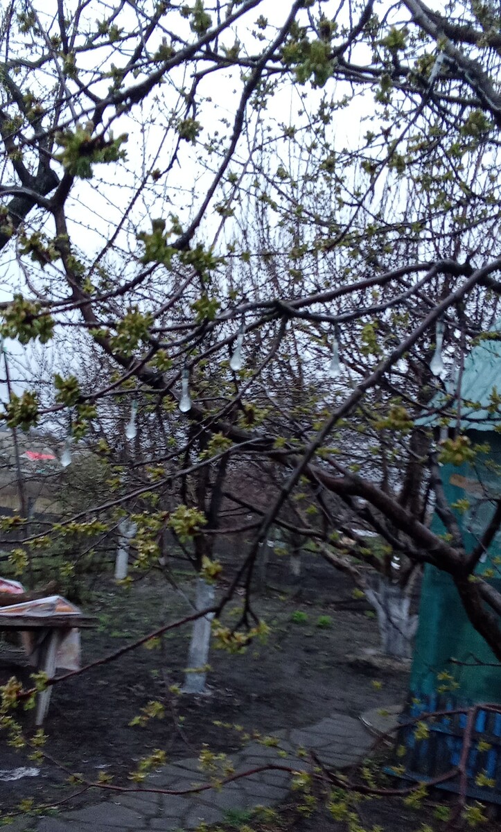 Личное фото 