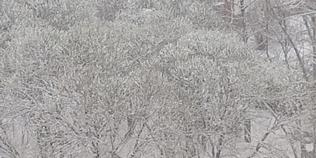 Мошенники и привычка врать