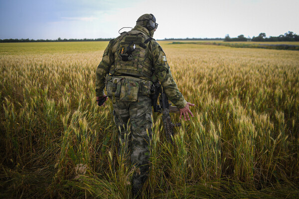Военнослужащий РФ на пшеничном поле в Мелитопольском районе Запорожской области, 2022 год / Алексей Майшев/РИА Новости   📷