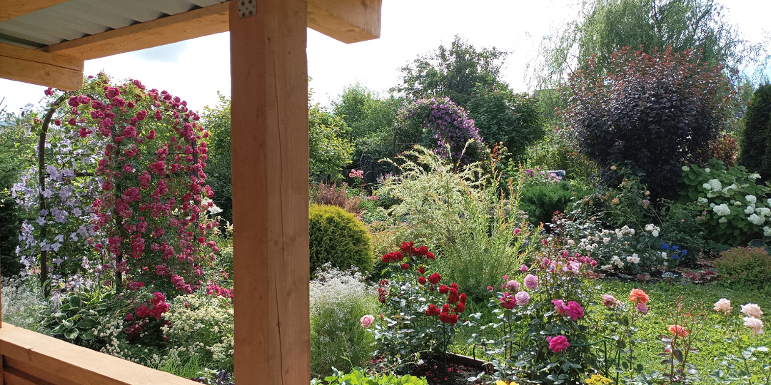 Экскурсия по каналу "Розовый сибирский сад"